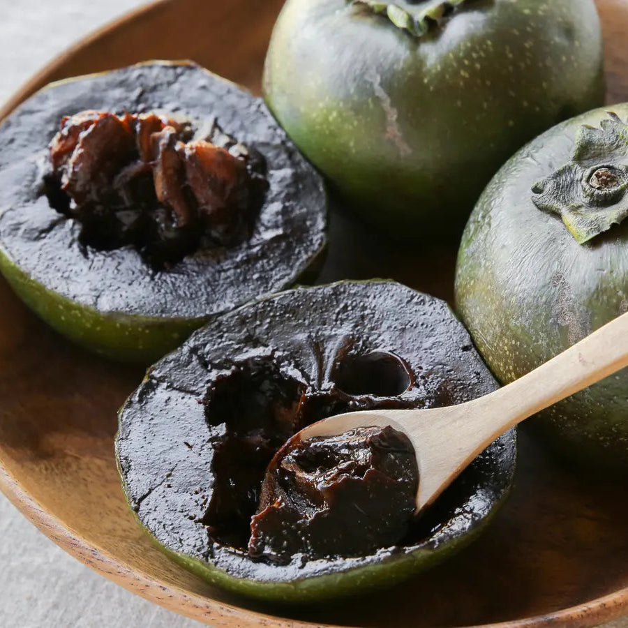 Black Sapote Fruit Plant (Diospyros Nigra)