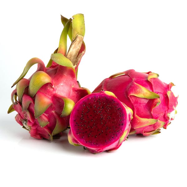 Dragon Fruit (Pink Flesh) Plant (Selenicereus Undatus)