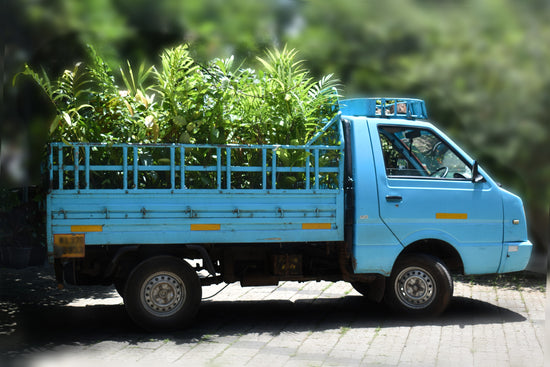 Bulk orders can be delivered by goods carrier vehicles all over india.