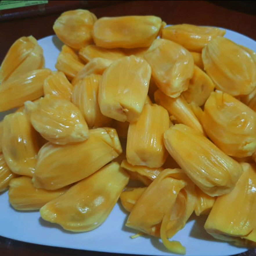 EVIARC The Sweetest Jackfruit Plant
