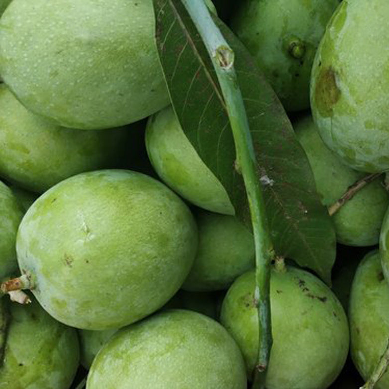 Moovanden Mango Live Plants