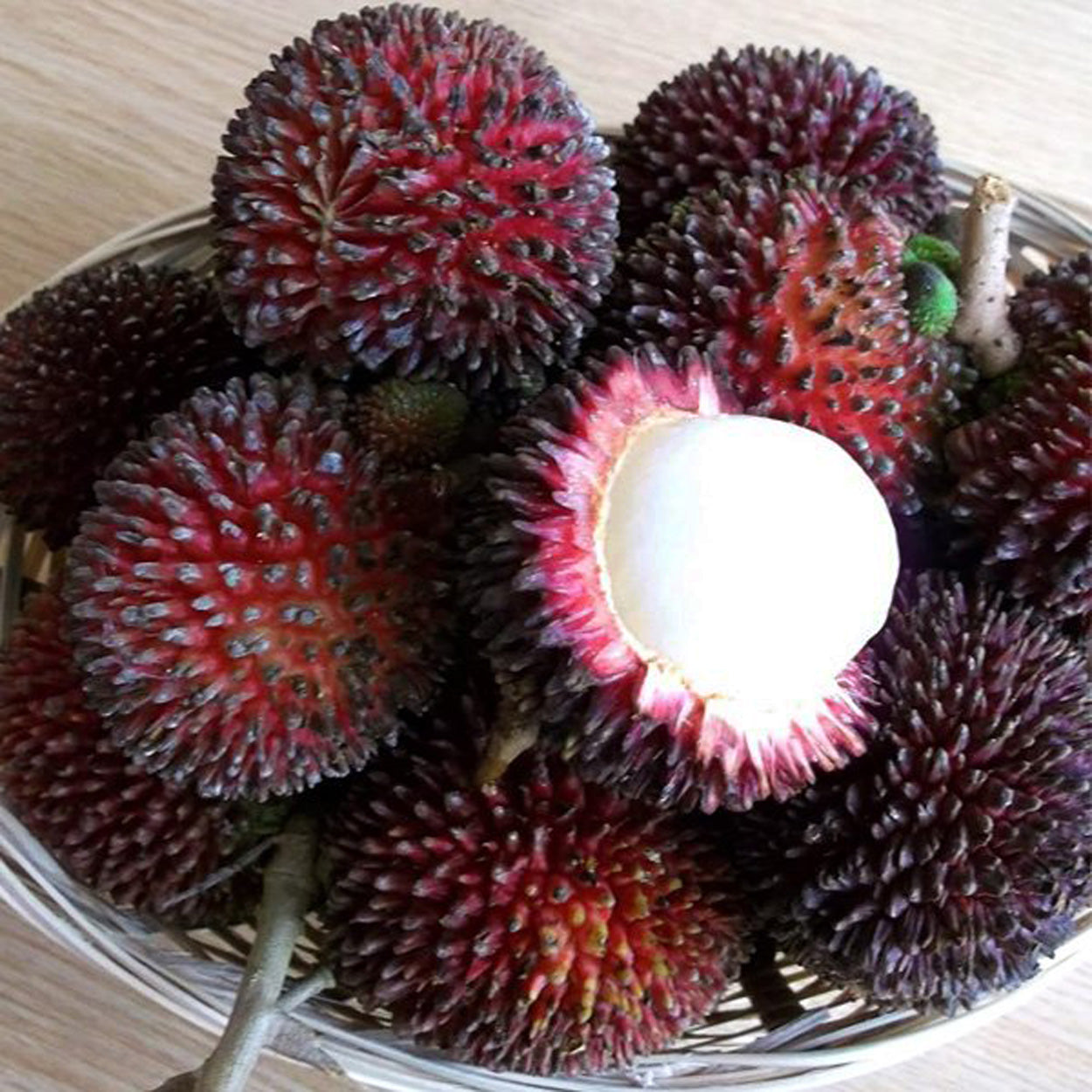Pulasan Fruit Plants (Nephelium Mutabile)