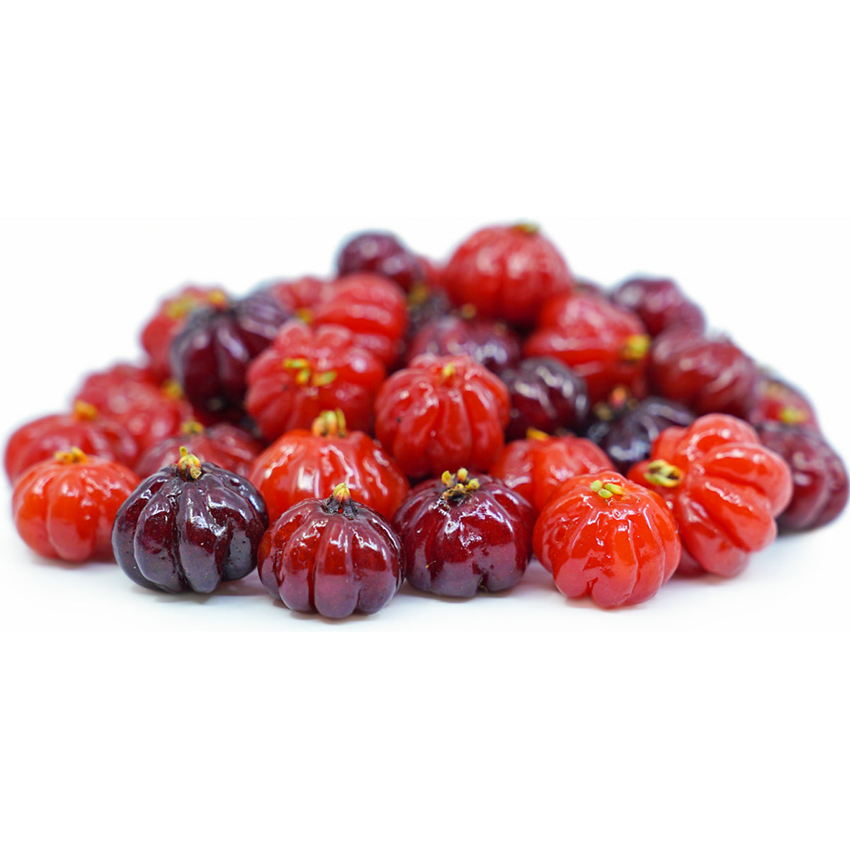 Red Surinam Cherry Fruit Plants (Eugenia Uniflora)