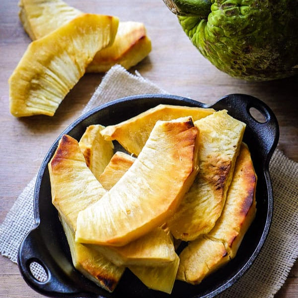 Breadfruit Plants (Artocarpus Altilis)