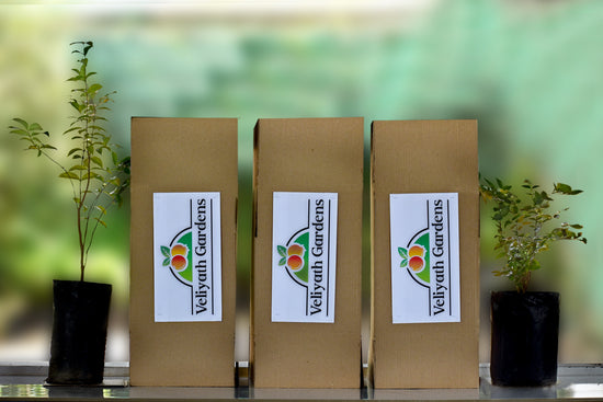 We deliver by courier anywhere in India.