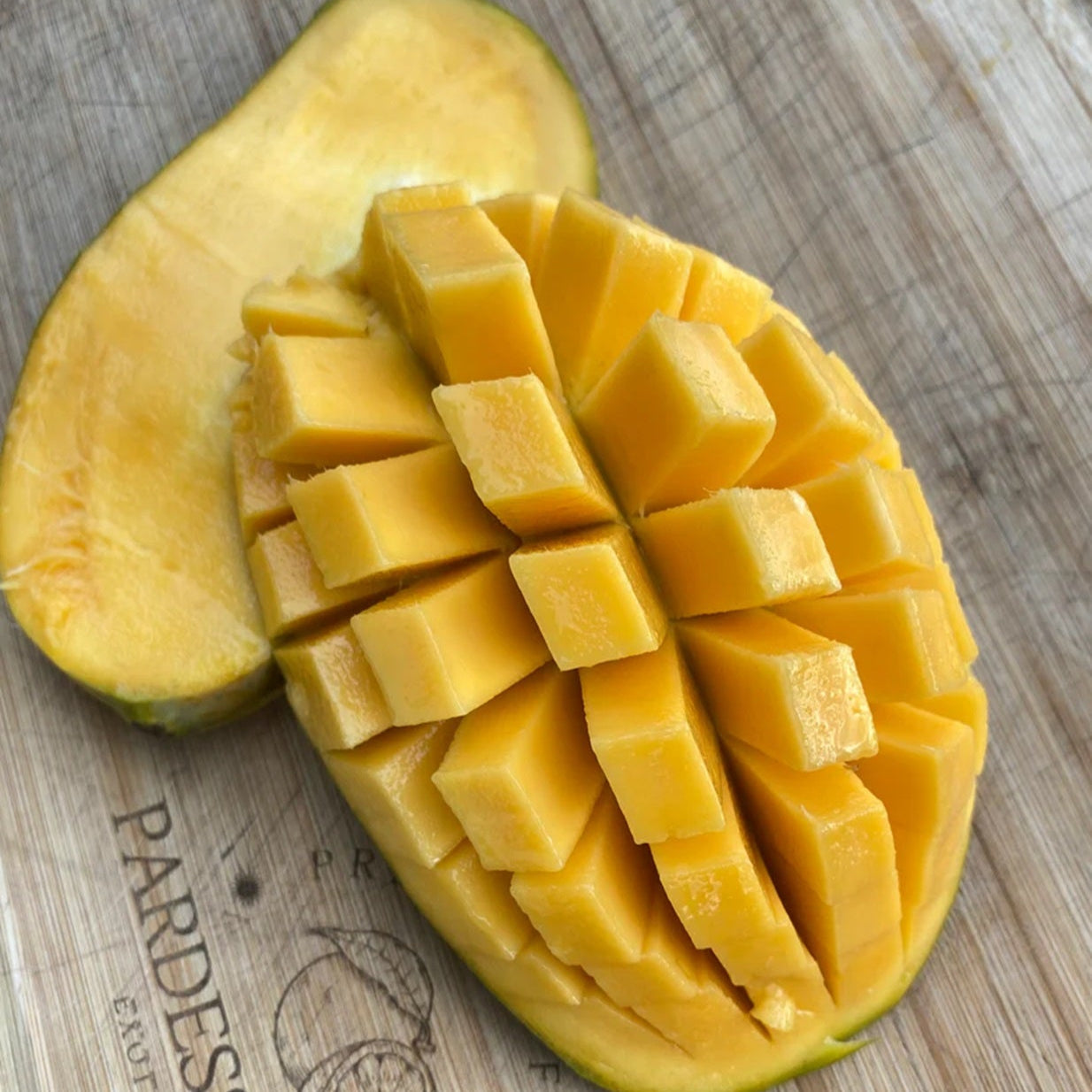 Mallika Mango Live Plant