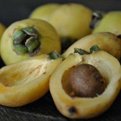 Rose Apple Live Plants (Syzygium Jambos)