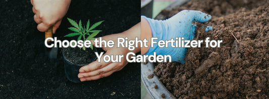 Choosing the Right Fertilizer for Your Garden: A Comprehensive Guide