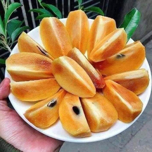 How To Grow Exotic Fruit Plants In Kerala
