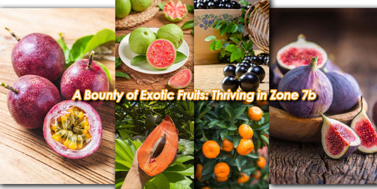 Explore the Rich Variety of Exotic Fruits Flourishing in Zone 7b