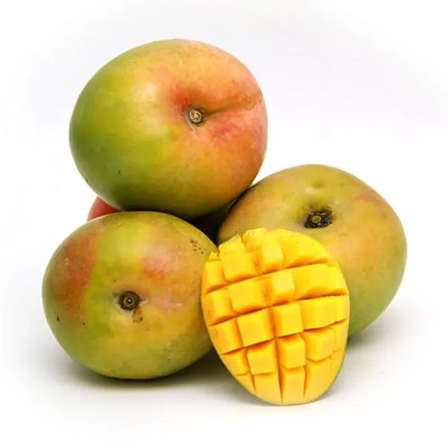 Apple Rumani Mango Live Plant (Mangifera indica)