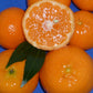 The Ciaculli mandarin (Dwarf Tropical Mandarin) Live Plant