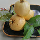 Brazilian Perfumed Guava Fruit Plant (Psidium angulatum)