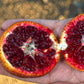 Amoa 8 Blood Orange Live Plant