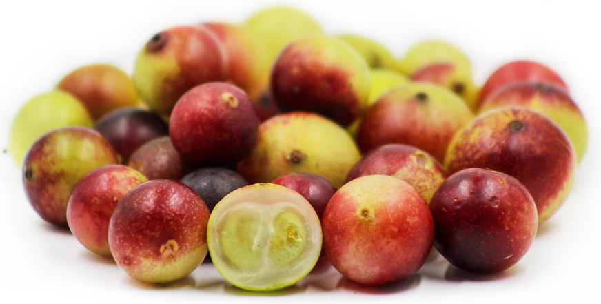 Camu Camu: The Vitamin C Jewel of the Amazon