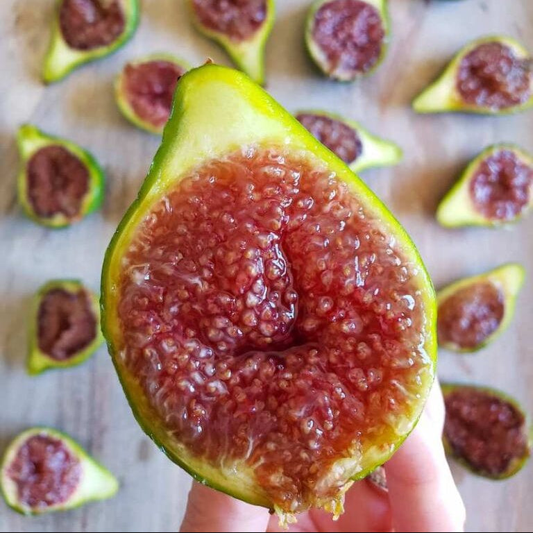 Corky’s Honey Delight Fig Live Plant