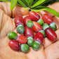 Yew Plum Pine Live Plant (Podocarpus macrophyllus)