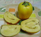 Cocona Fruit live Plant (Solanum sessiliflorum)