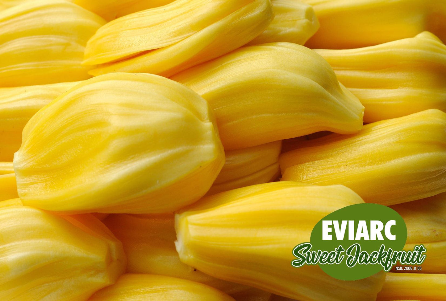 EVIARC The Sweetest Jackfruit Plant:-