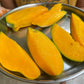 Catimon Mango (Katimon Mango) plant