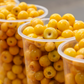 Yellow Nance Fruit Plants (Byrsonima Crassifolia)