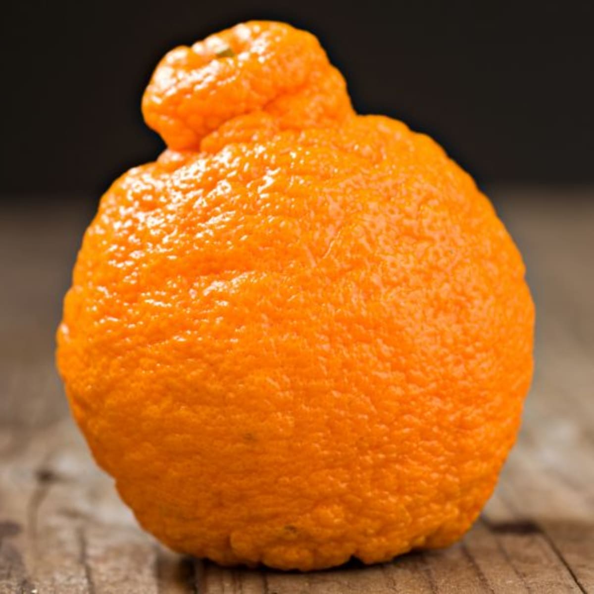Dekopon orange Live Plant (Citrus reticulata)