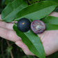 Blue Jaboticaba: A Rare Exotic Fruit Plant for Your Garden