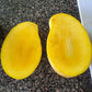 Lemon Zest Mango Live Plant (Mangifera indica 'Lemon Zest')