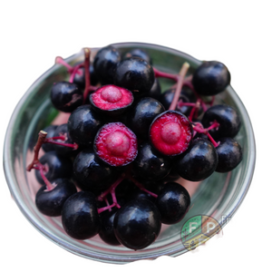 Gondo Fruit Plant (Ardisia compressa)