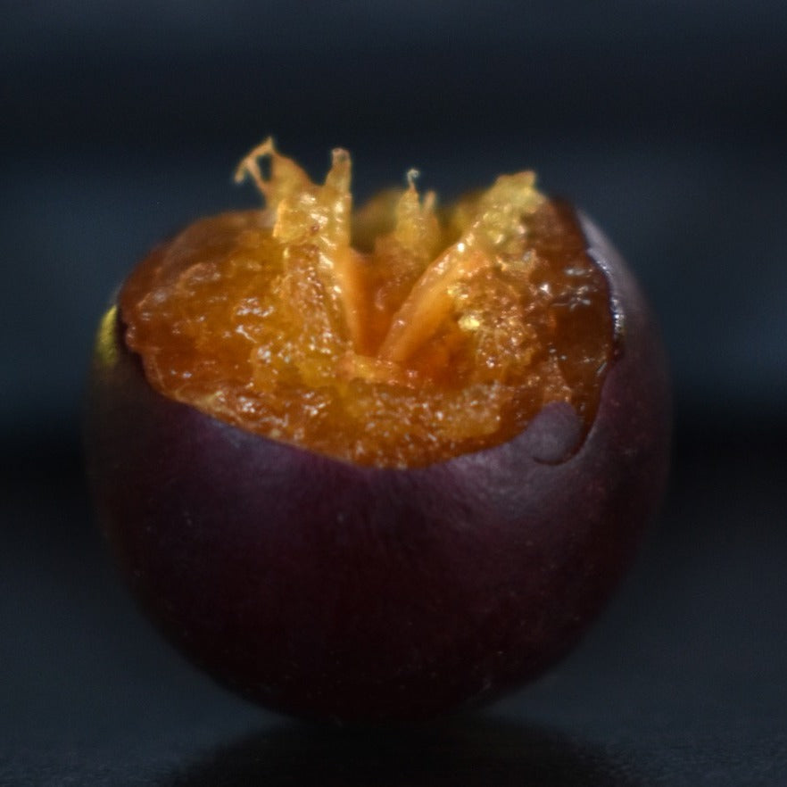 Burmese Cherry Fruit Plants (Flacourtia SP)