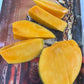 Sonpari Mango Live Plant (Mangifera indica)