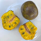 Amazon Custard Apple Fruit Plant ( Annona Amazonica )