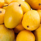 Anwar Ratol Mango Live Plant (Mangifera indica)