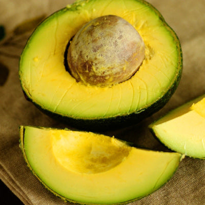 Reed Avocado Live Plant (Persea americana)