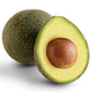 Reed Avocado Live Plant (Persea americana)