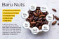 Baru nut Live Plant (Dipteryx alata)