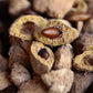 Baru nut Live Plant (Dipteryx alata)
