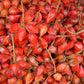 Belimbing Darah Fruit Plants (Baccaurea Angulata)
