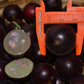 Black Velvet Jaboticaba Fruit Plant