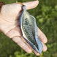 Blue Sausage Fruit Live Plant (Decaisnea Fargesii)