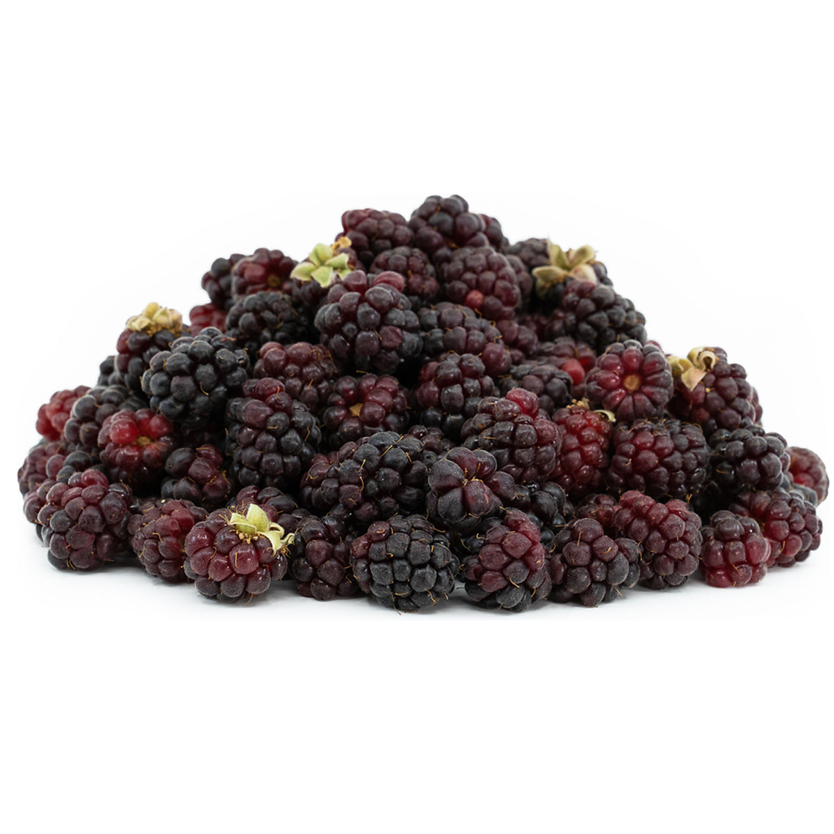 Boysenberry Live Plant ( Rubus X boysenberry)