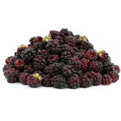 Boysenberry Live Plant ( Rubus X boysenberry)