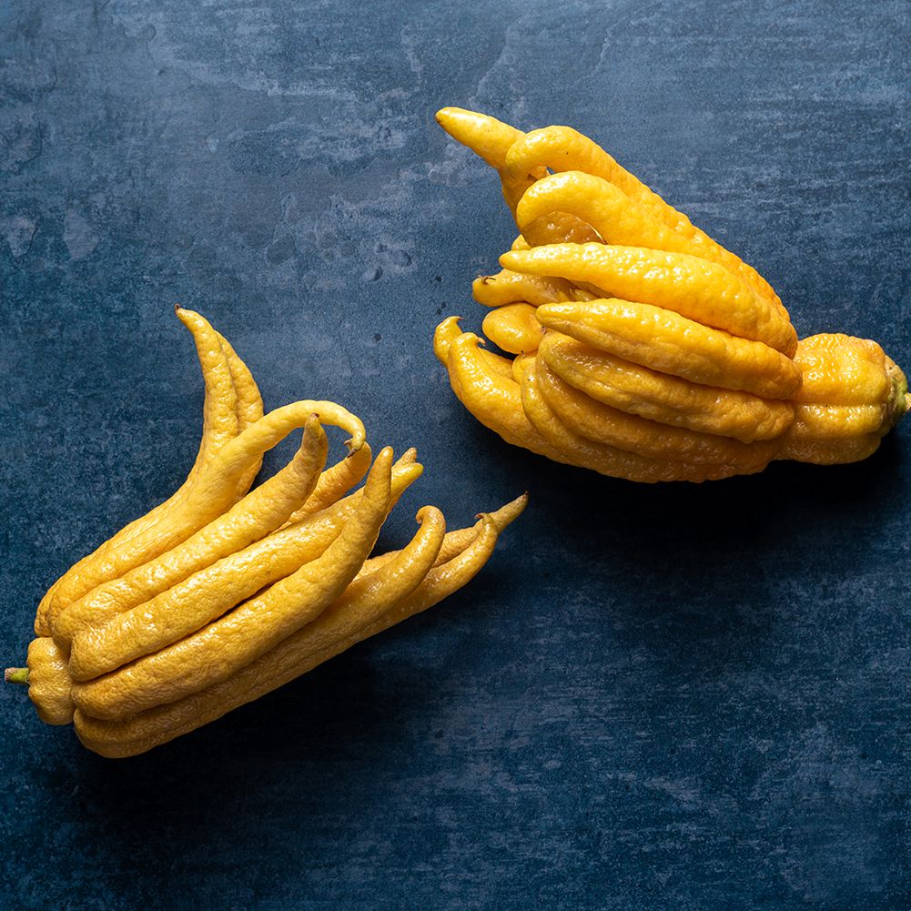 Buddha's hand Fruit Plant (Citrus medica var. sarcodactylis)