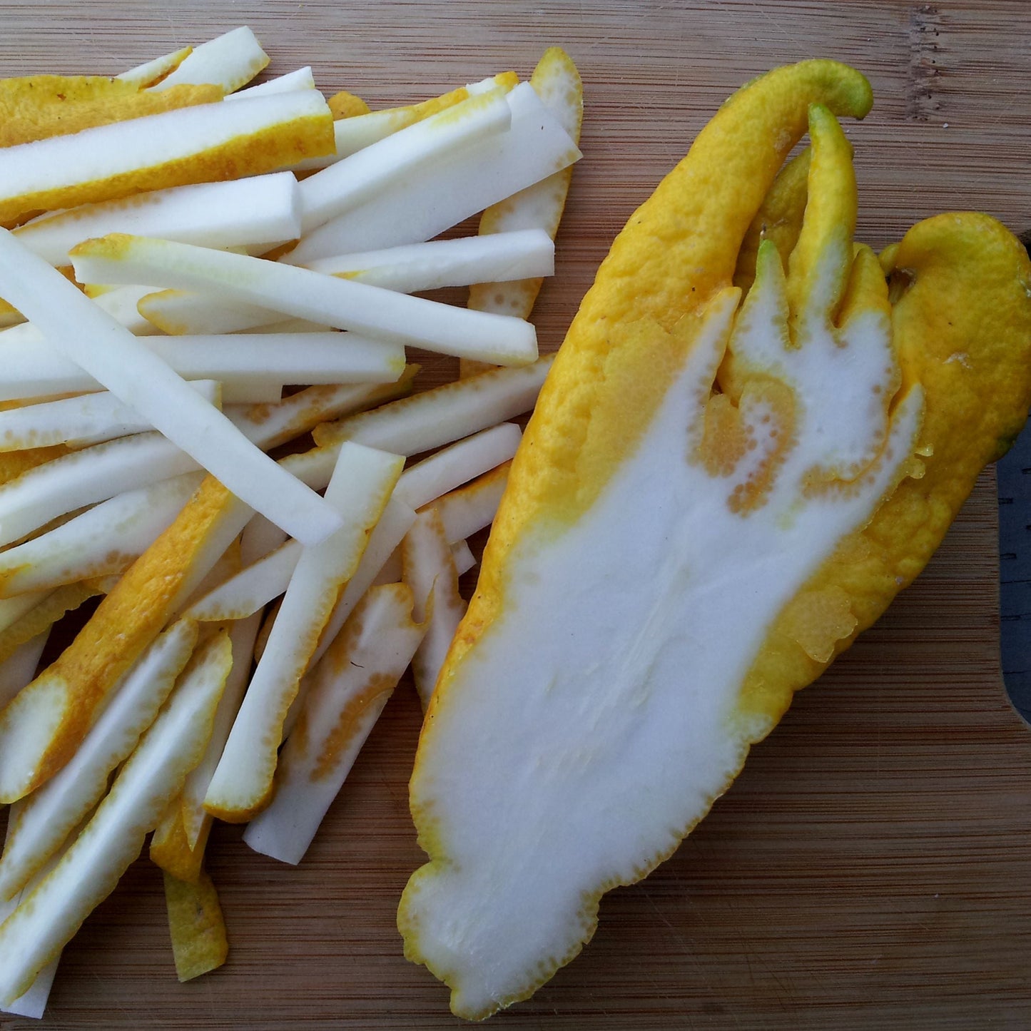 Buddha's hand Fruit Plant (Citrus medica var. sarcodactylis)