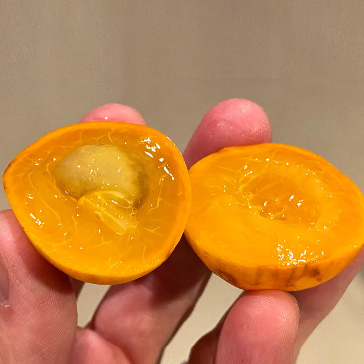 Cambuca Fruit Fruit Plants ( Plinia Edulis )