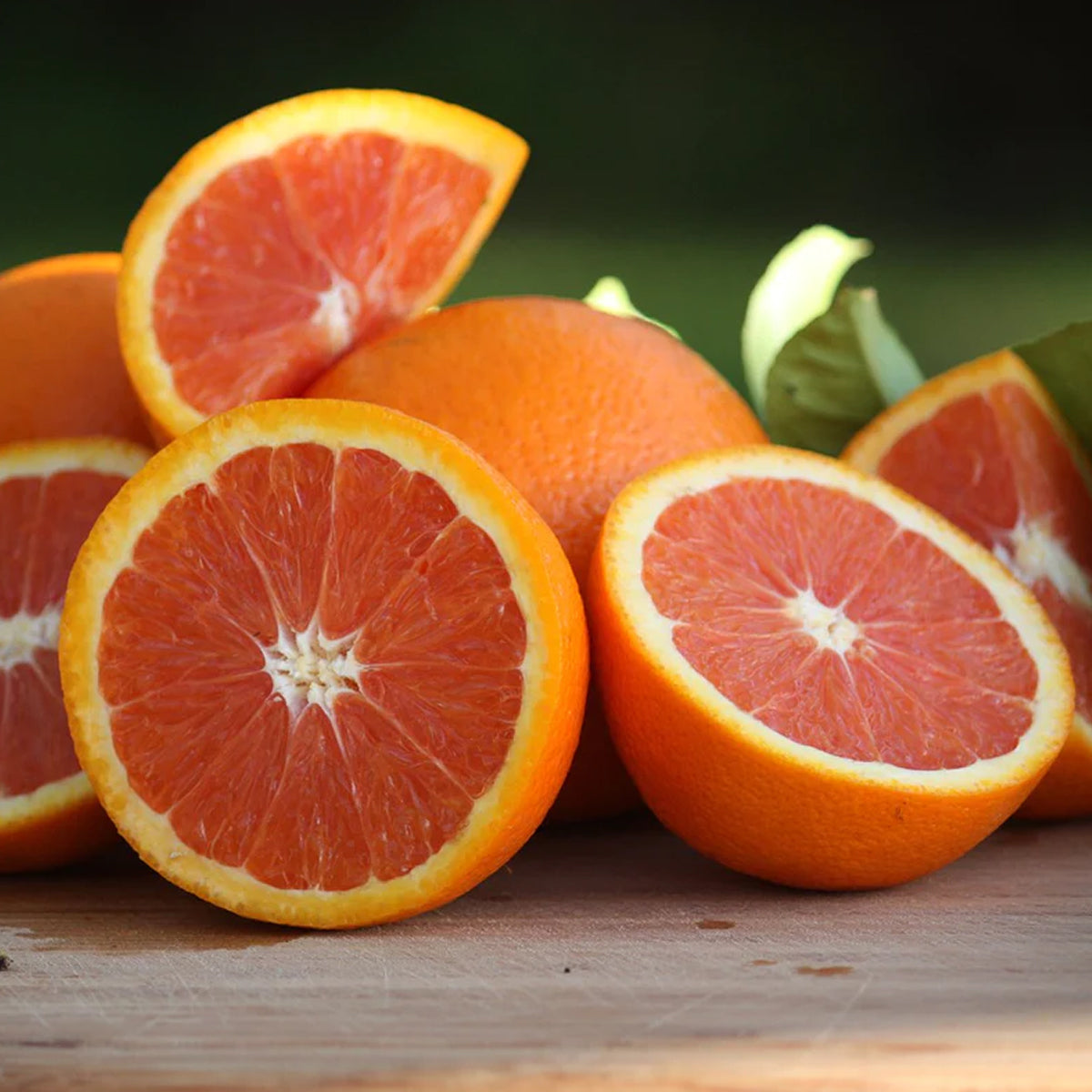 Cara Cara Orange Live Plant (Citrus sinensis 'Cara Cara')