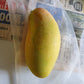 Carabao Mango Live Plant  -  The World’s Sweetest Mango Treasure