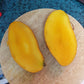 Carabao Mango Live Plant  -  The World’s Sweetest Mango Treasure