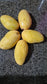 Carabao Mango – The Trending Star of Tropical Farms