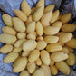 Carabao Mango – The Trending Star of Tropical Farms